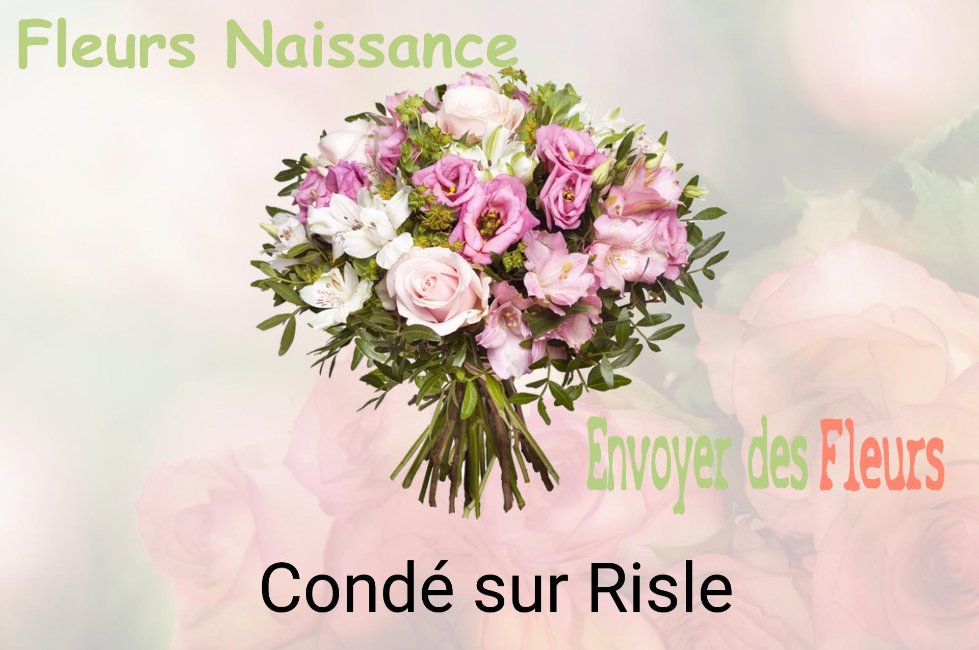 Bouquet de fleurs de naissance livré à Condé-sur-Risle